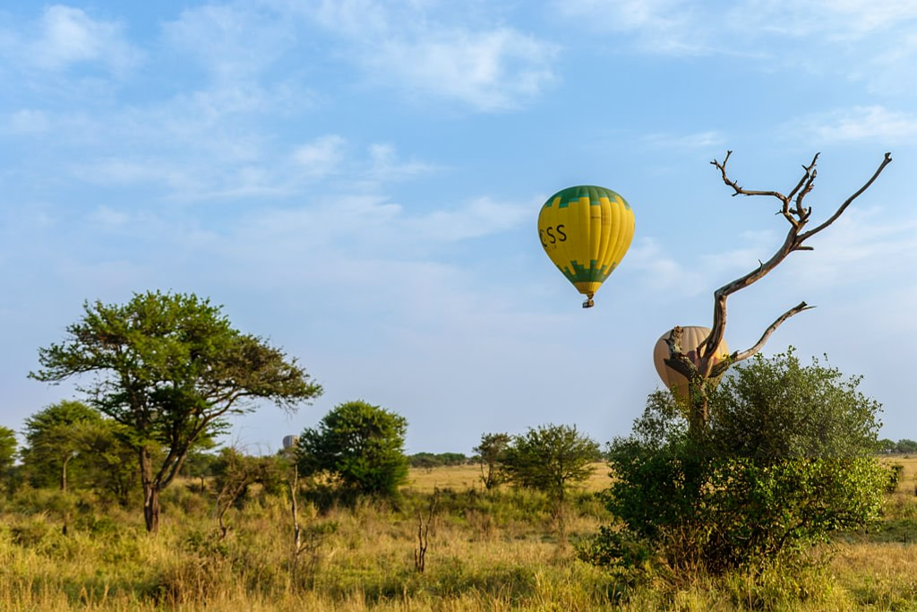 4 Days Tanzania Safari with Hot Air Balloon Ride